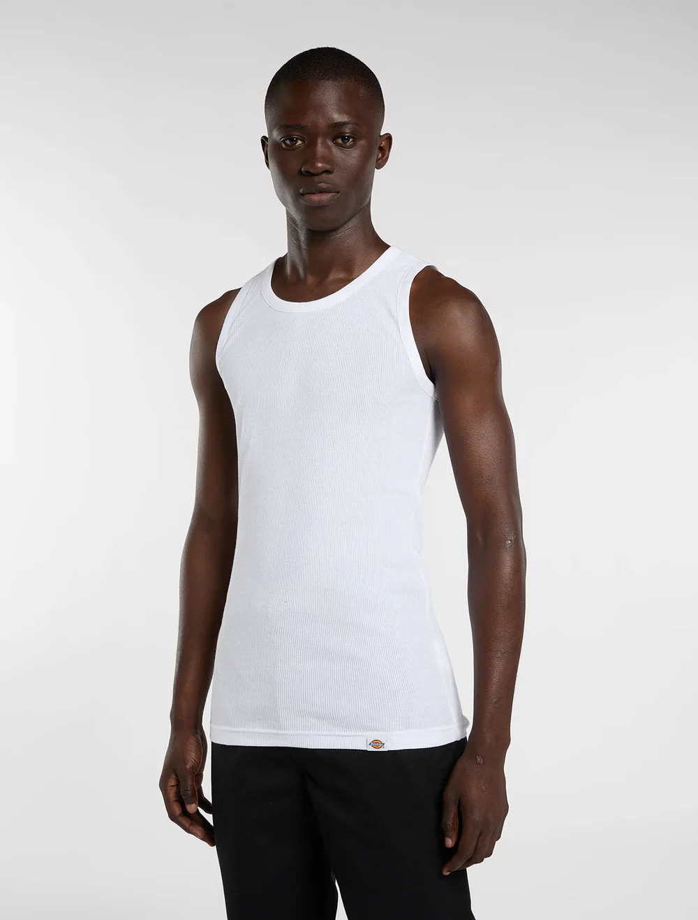 Dickies Men's Amsterdam Tops (3 Pack) White DK0A4ZB2WHX