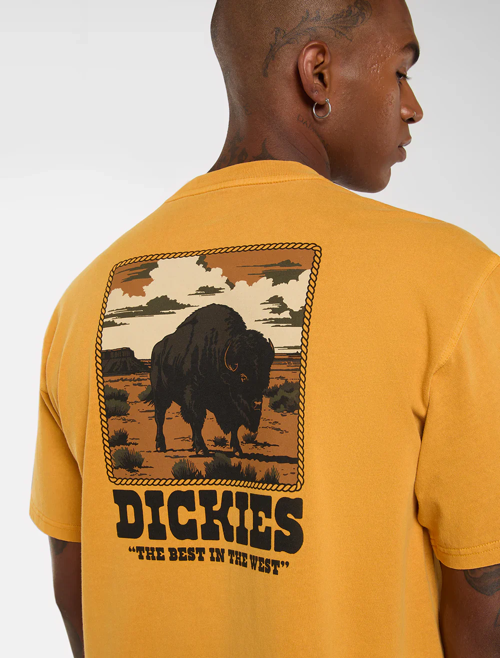 Dickies Men's Darrtown Midweight T-shirt Sunflower DK0A88QQSOR - Image 3