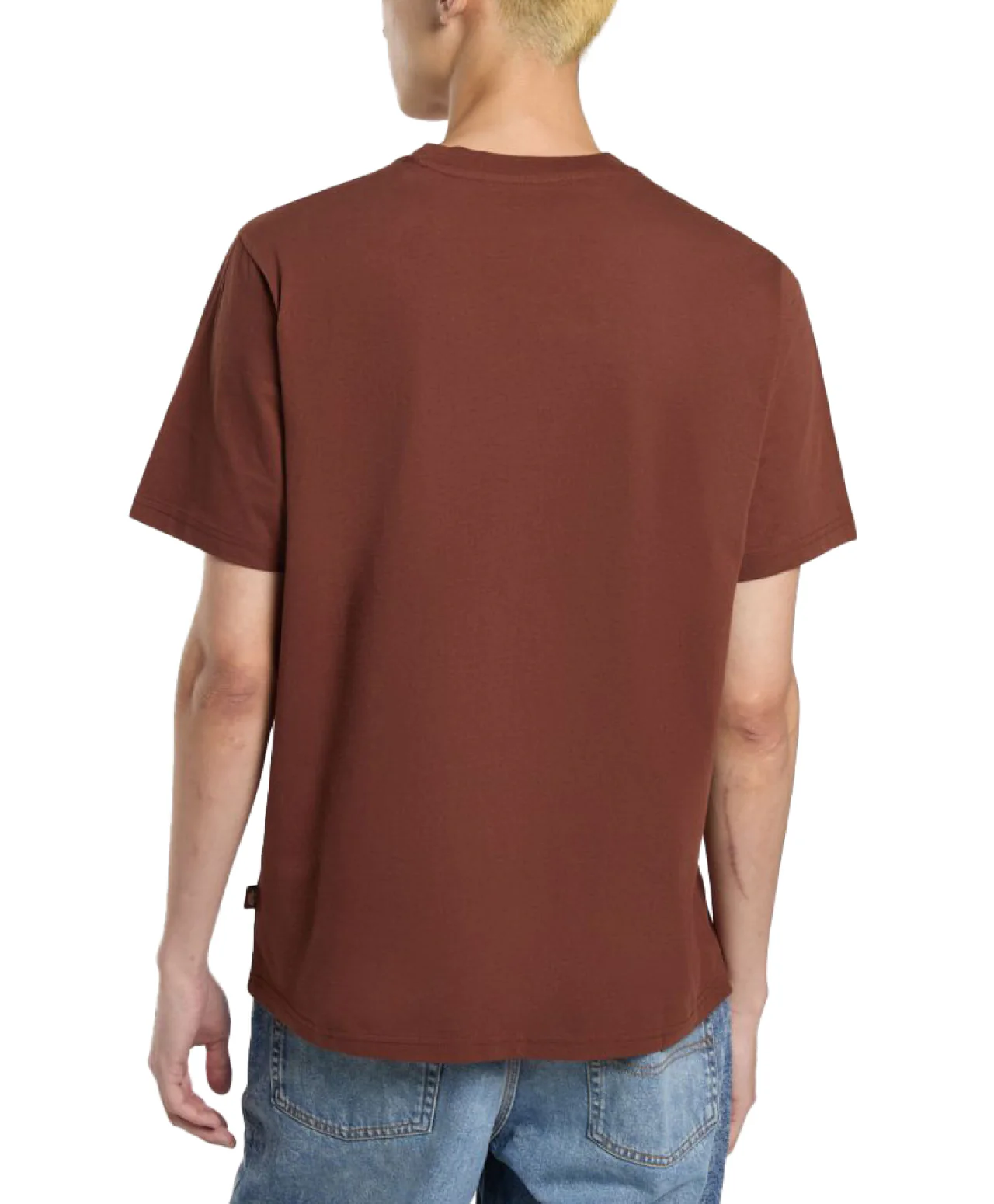 Dickies Men's Mapleton T-Shirt Cappuccino DK0A4XDBK471 - Image 2