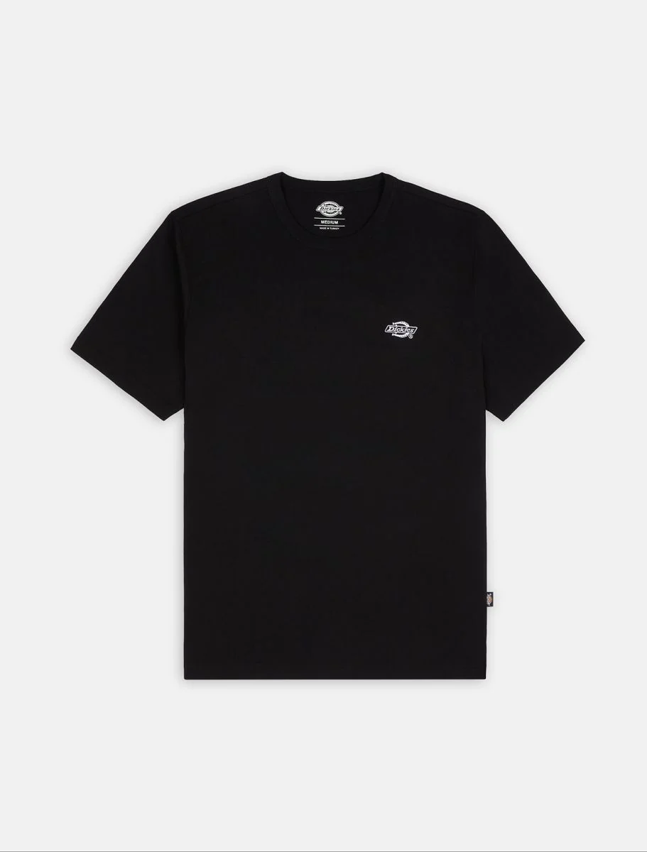 Dickies Men's Summerdale Light Weight T-shirt Black DK0A4YAIBLK - Image 4