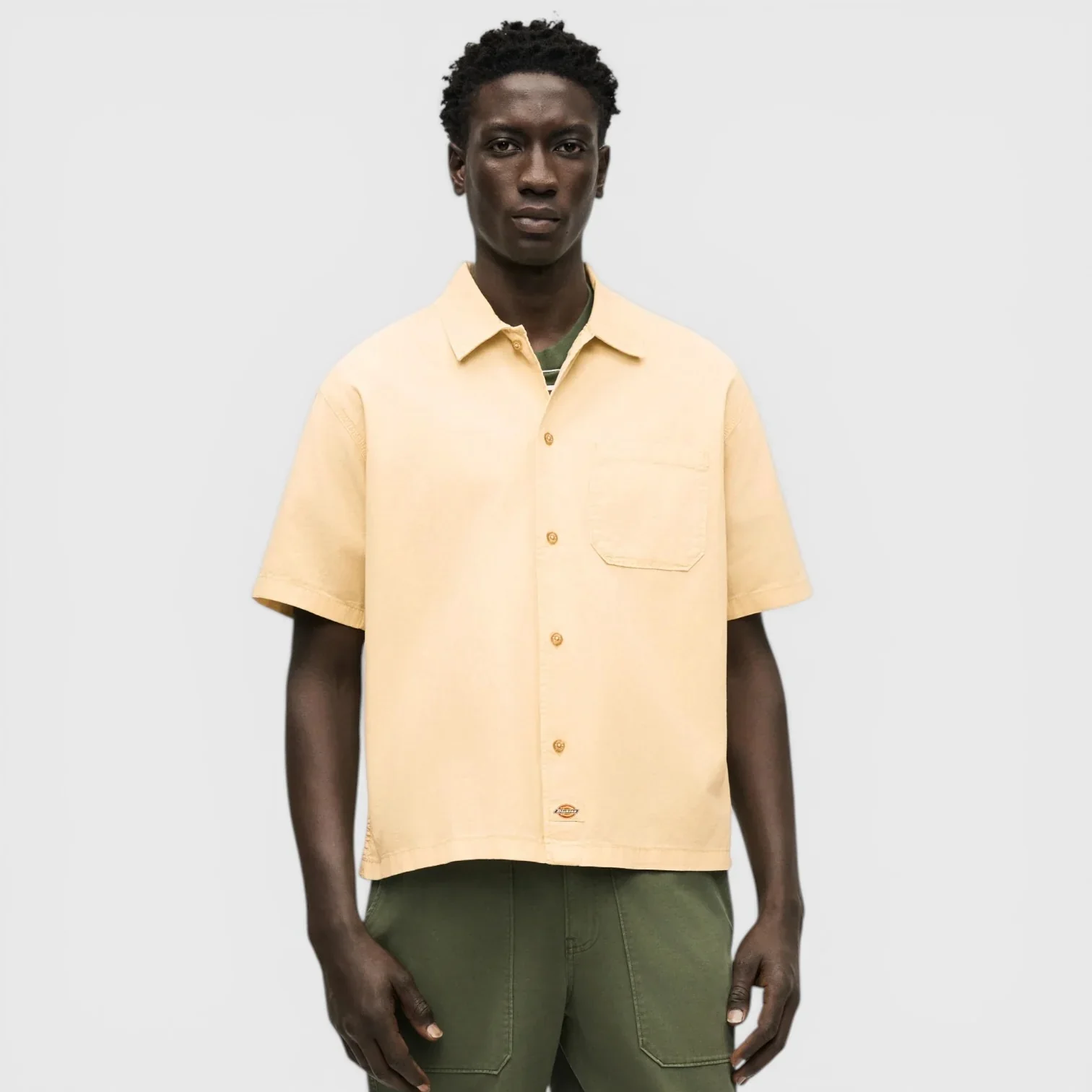 Dickies Men's Vernal Short Sleeve Shirt Wood Ash DK0A88O8L17