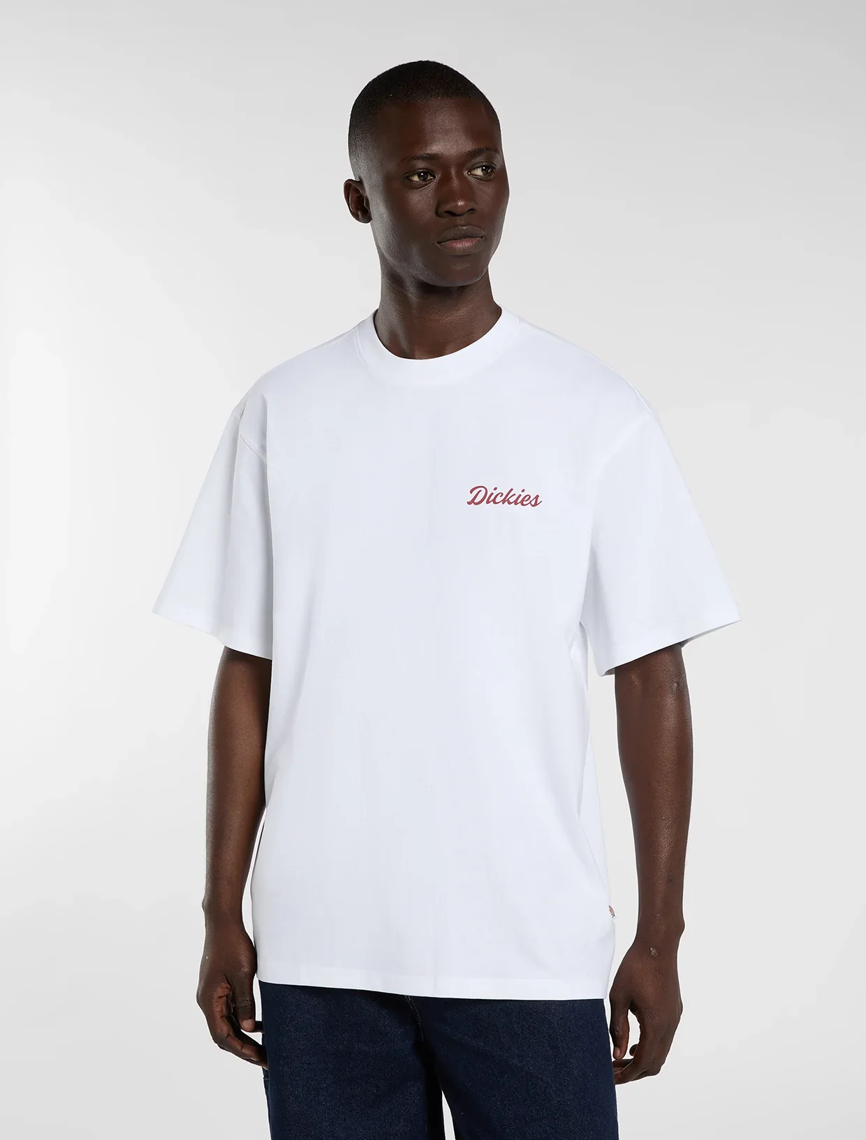 Dickies Men's Wellsville Medium Weight T-Shirt White DK0A88860WH1