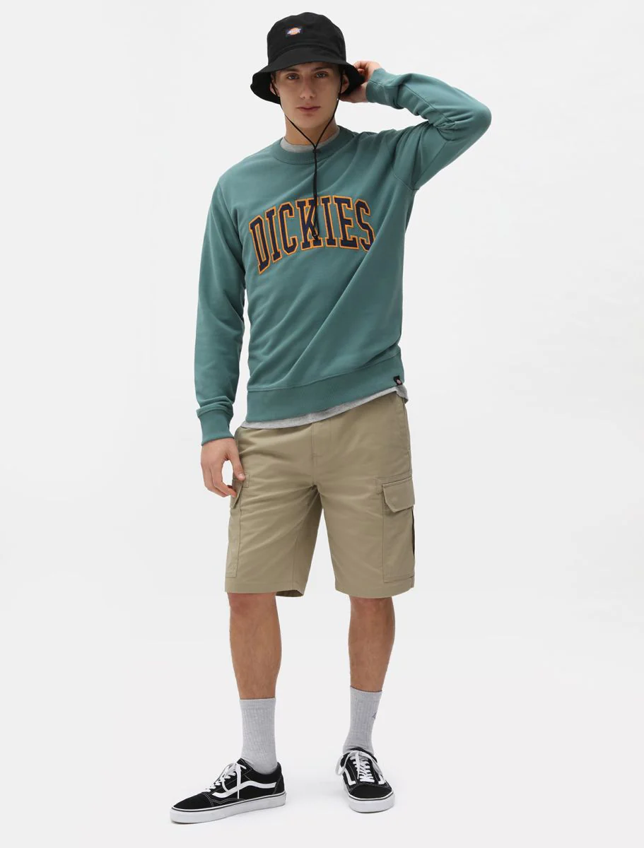 Dickies Millerville Short Khaki DK0A4XEDKHK1 - Image 3