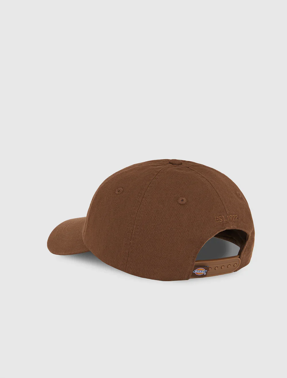 Dickies Unisex Hardwick Baseball Cap Timber Brown DK0A4TKV0TB - Image 2