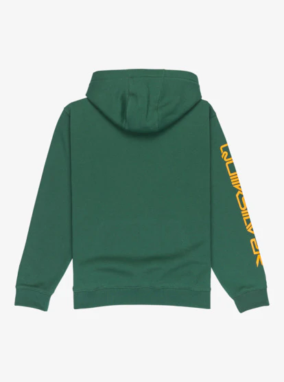 Quiksilver Kid's Omni Logo Hoodie (8-16) Trekking Green EQBFT03951_TKR - Image 2