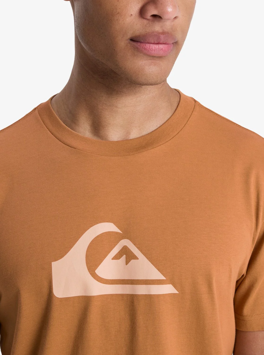 Quiksilver Men's EV Comp Logo T-Shirt Brown EQYZT08182-CMK0 - Image 4