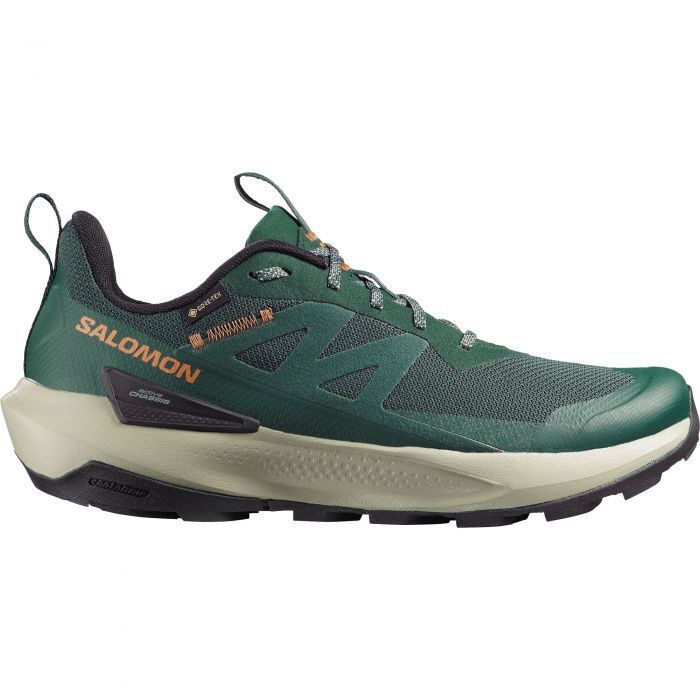 Salomon Men's Elixir Activ Gore-Tex Shoes Scarab/Green Gables/Chili L49229800