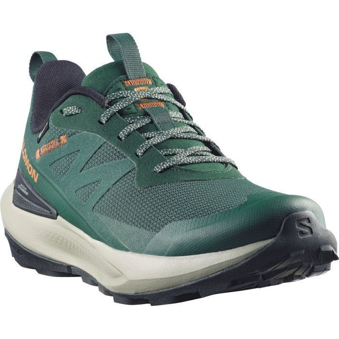 Salomon Men's Elixir Activ Gore-Tex Shoes Scarab/Green Gables/Chili L49229800 - Image 4