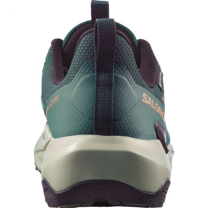 Salomon Men's Elixir Activ Gore-Tex Shoes Scarab/Green Gables/Chili L49229800 - Image 5